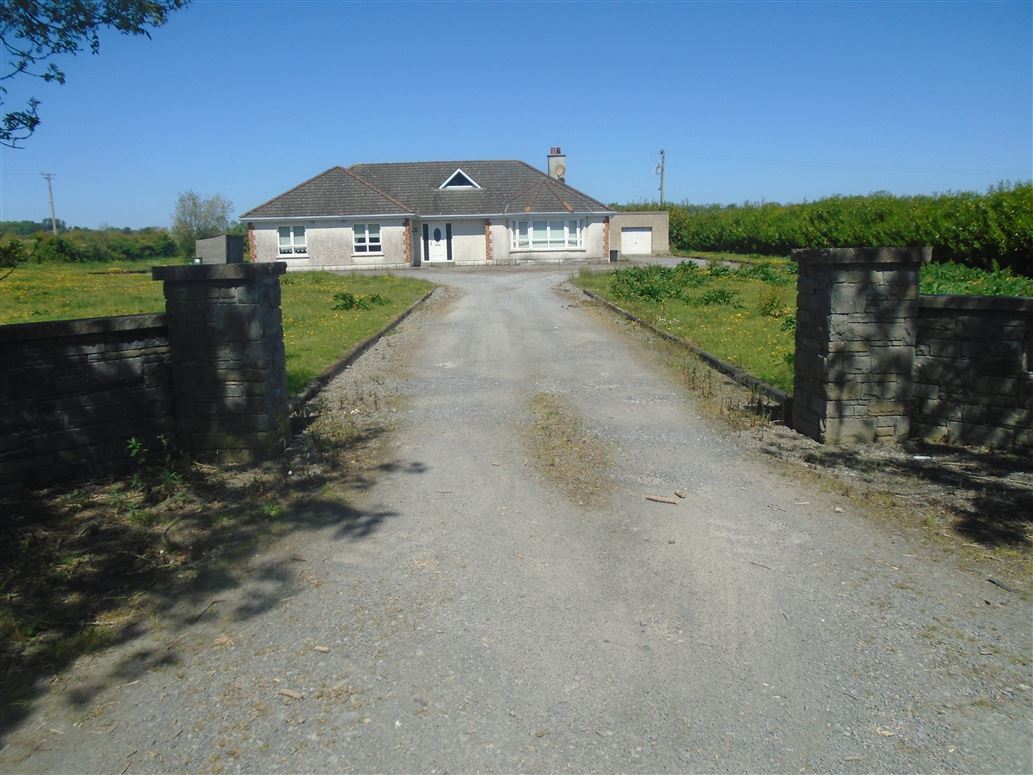 Shanragh Wolfhill Co Laois, Ballylynan, Laois