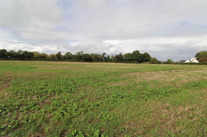 Lot 2, Ballyhayden, Borrisokane, Tipperary
