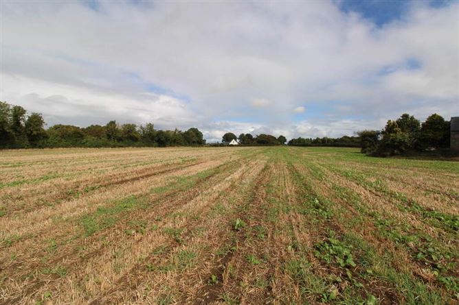 Lot 2, Ballyhayden, Borrisokane, Tipperary