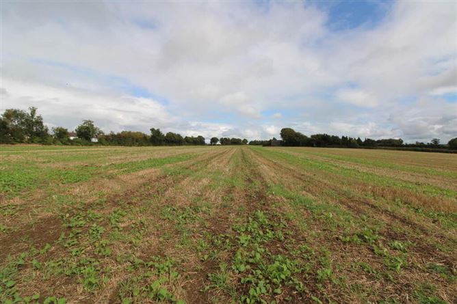 Lot 2, Ballyhayden, Borrisokane, Tipperary
