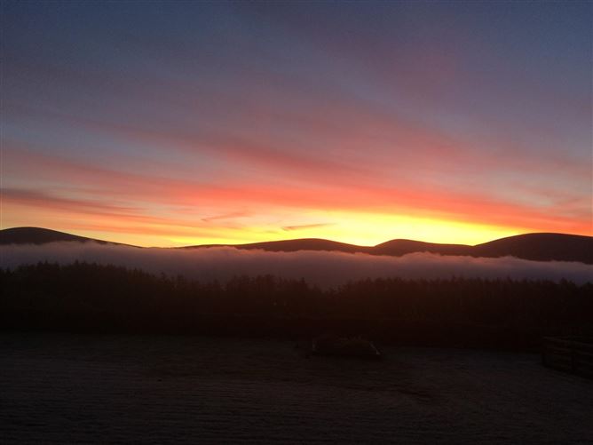 Photo 54 of 61 — 'Ash Grove', Baltyboys, Blessington, Wicklow