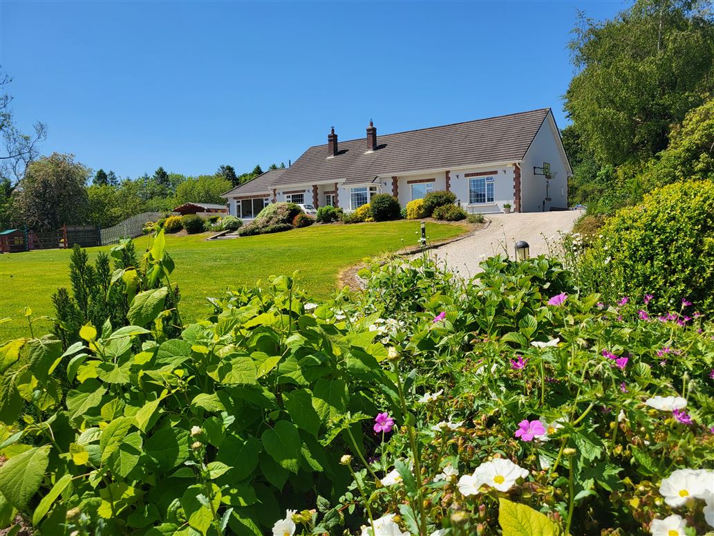 'Ash Grove', Baltyboys, Blessington, Wicklow