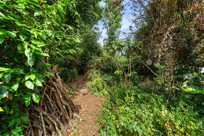 Photo 21 of 26 — 58 Glenabbey Road, Mount Merrion,   County Dublin