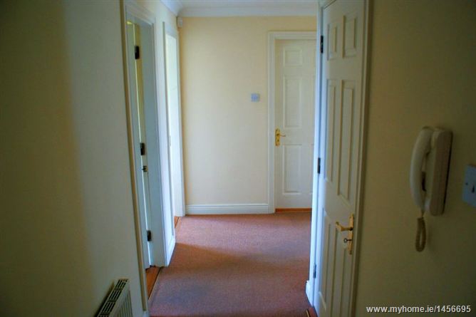 Geraldstown Woods, Santry, Dublin 9