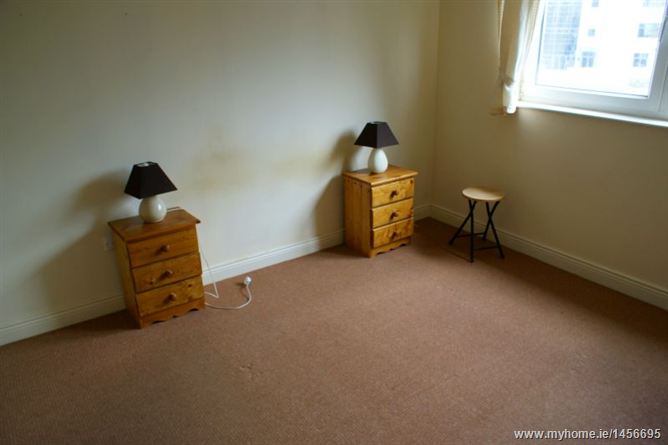 Geraldstown Woods, Santry, Dublin 9