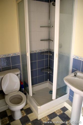 Geraldstown Woods, Santry, Dublin 9