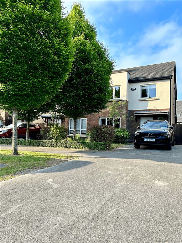 15 The Paddocks Drive, Adamstown, Lucan, Dublin Online Estate Agent