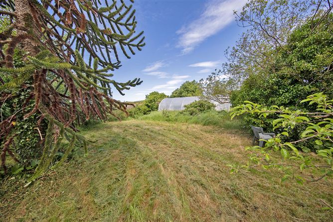 Photo 19 of 26 — Rectory Cottage, West Street, Tallow, Co. Waterford
