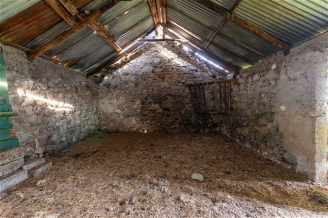 Glasshouse, Blueball, Tullamore, County Offaly