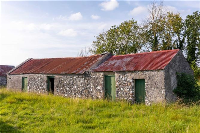 Glasshouse, Blueball, Tullamore, County Offaly