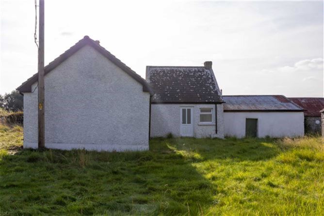 Glasshouse, Blueball, Tullamore, County Offaly