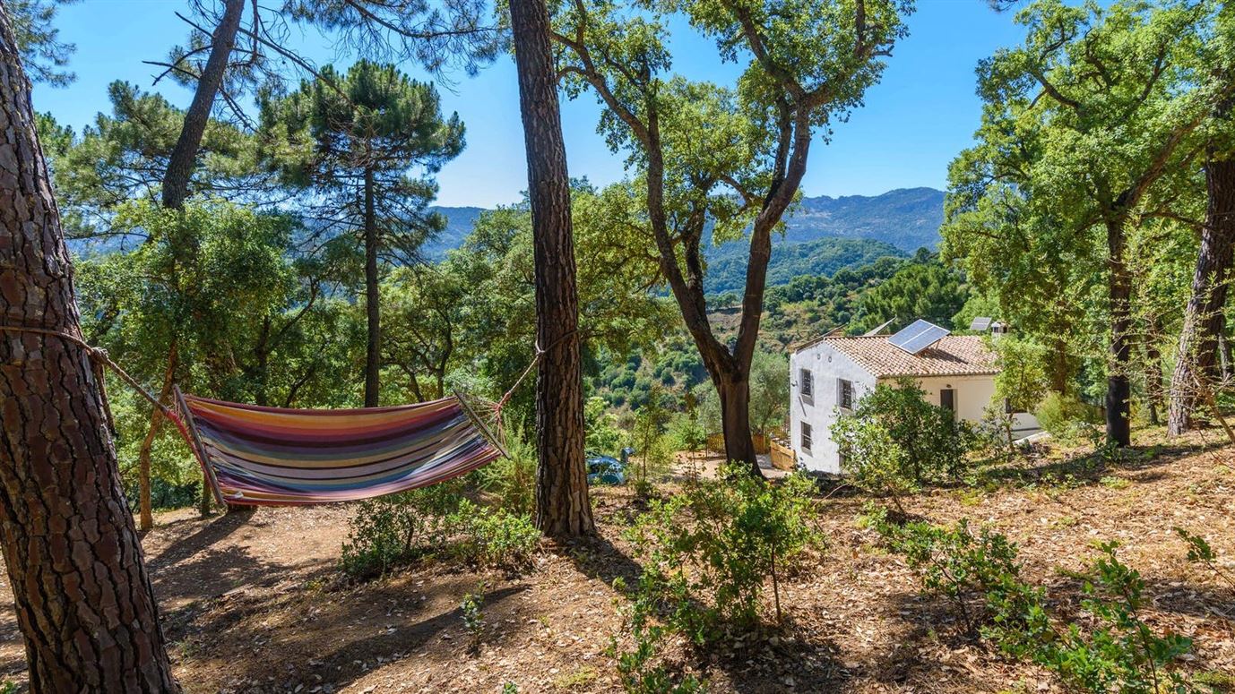The Daydreamer,Jubrique, Andalusia, Spain