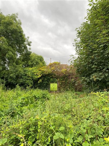 The Bungalow, Dromkeen South, Dromkeen, Pallasgreen, Limerick