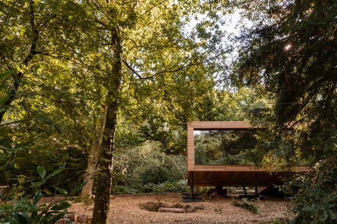 Woodland Reflections,Fairlight,East Sussex,United Kingdom