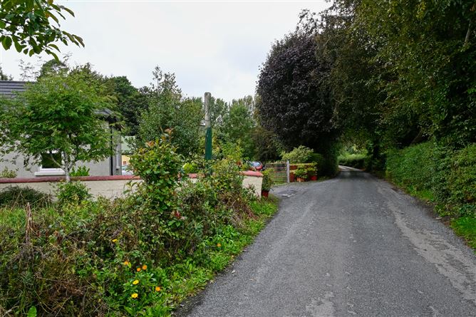Jenkinstown Park Co Kilkenny, Jenkinstown, Kilkenny