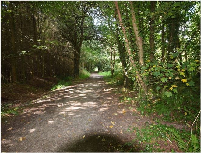 No. 29 Woodside, Courtown, Gorey, Wexford