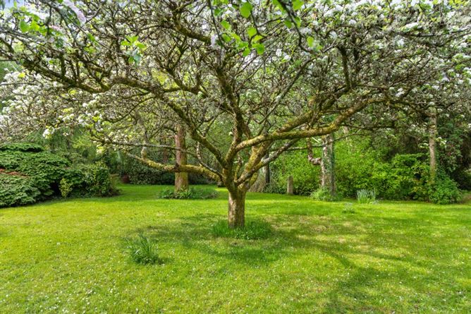 Stilebawn Cottage, Stilebawn, Enniskerry, Co. Wicklow
