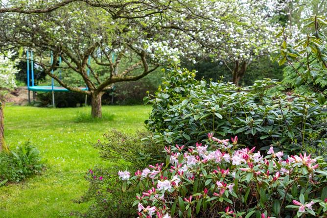 Stilebawn Cottage, Stilebawn, Enniskerry, Co. Wicklow