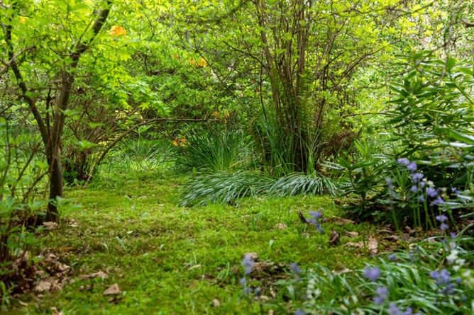 Stilebawn Cottage, Stilebawn, Enniskerry, Co. Wicklow