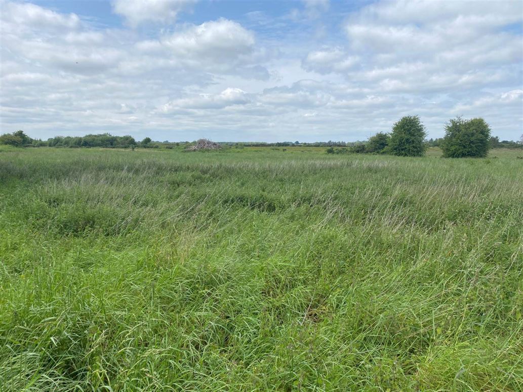 Clongowney, Belmont, County Offaly