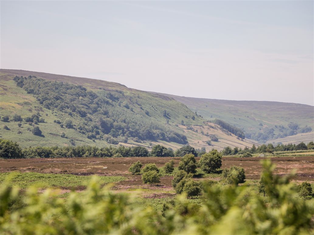 Riverview,Stamford Bridge, North Yorkshire, United Kingdom
