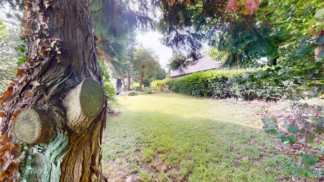 Photo 20 of 26 — Whiterock House, Whiterock Hill, Wexford