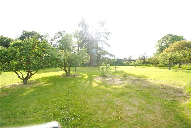 Old Castle Hse & approx. 4.96 acres, Dungar, Roscrea, Co. Tipperary