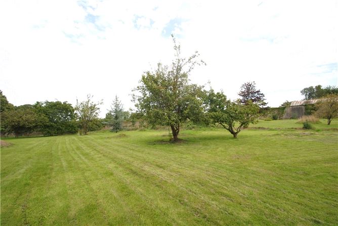 Old Castle Hse & approx. 4.96 acres, Dungar, Roscrea, Co. Tipperary