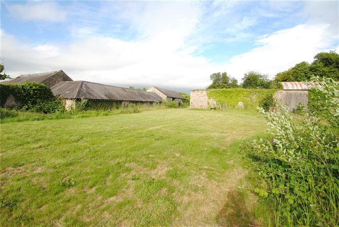 Old Castle Hse & approx. 4.96 acres, Dungar, Roscrea, Co. Tipperary