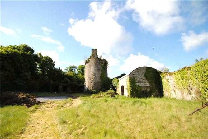 Old Castle Hse & approx. 4.96 acres, Dungar, Roscrea, Co. Tipperary
