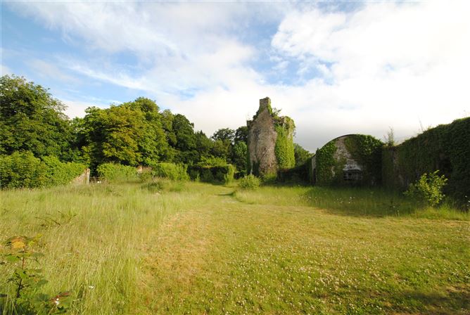 Old Castle Hse & approx. 4.96 acres, Dungar, Roscrea, Co. Tipperary