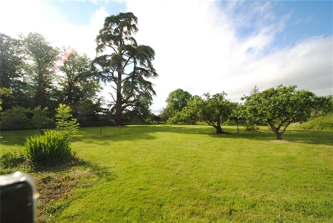 Old Castle Hse & approx. 4.96 acres, Dungar, Roscrea, Co. Tipperary