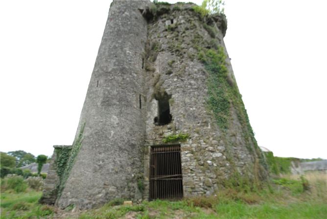 Old Castle Hse & approx. 4.96 acres, Dungar, Roscrea, Co. Tipperary