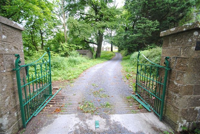 Old Castle Hse & approx. 4.96 acres, Dungar, Roscrea, Co. Tipperary