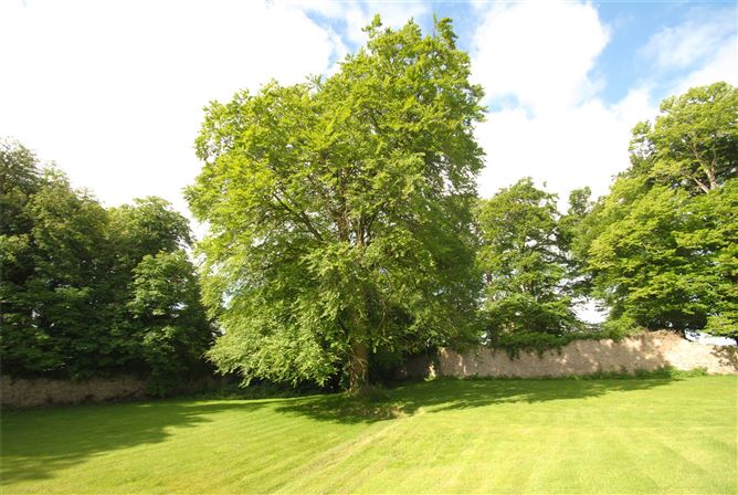 Old Castle Hse & approx. 4.96 acres, Dungar, Roscrea, Co. Tipperary