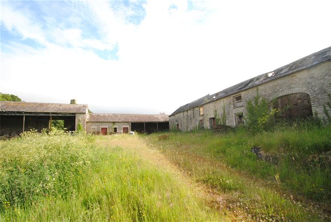 Old Castle Hse & approx. 4.96 acres, Dungar, Roscrea, Co. Tipperary