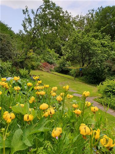 Eden, Red Lane, Glen Of The Downs, Delgany