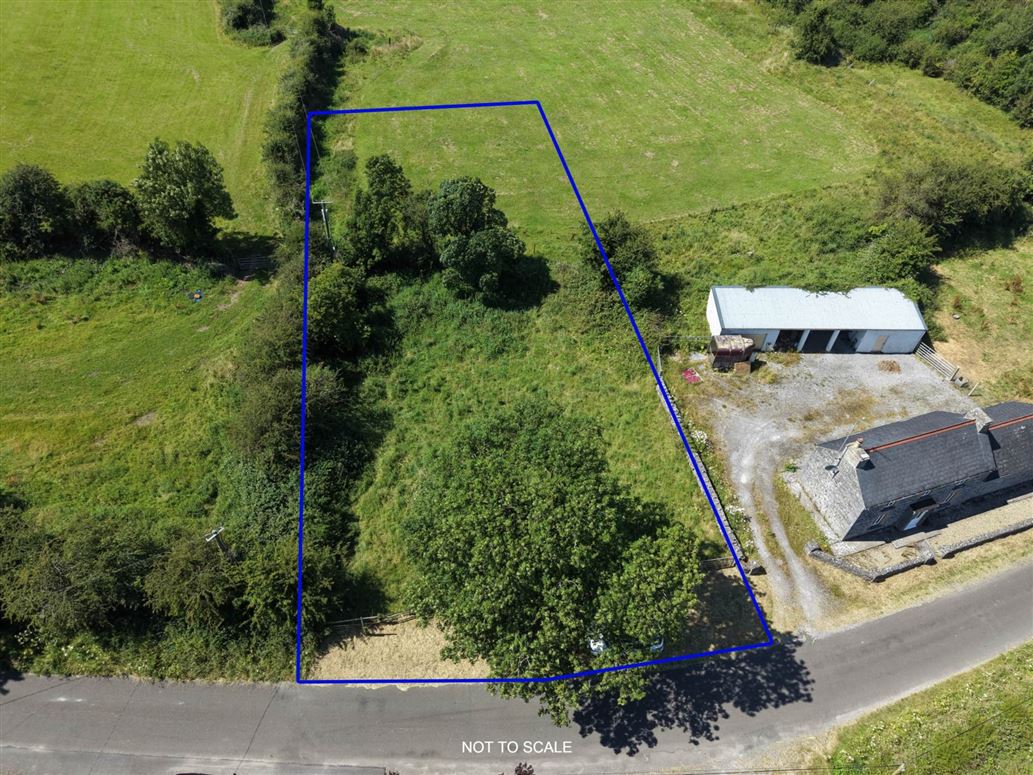 C. 0.50 Acre Site, Lisnatea (Fuerty Road), Athleague, County Roscommon