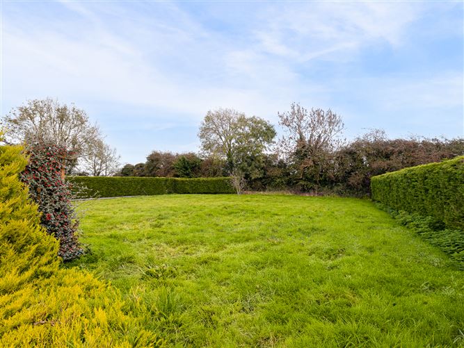 Alasty, Kill, Kildare