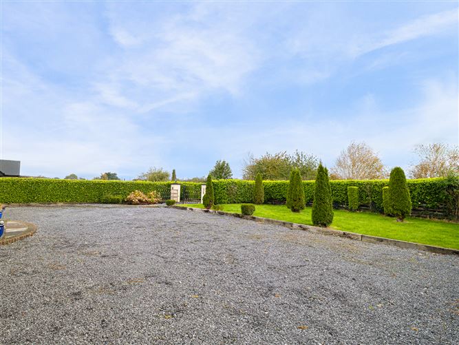 Alasty, Kill, Kildare