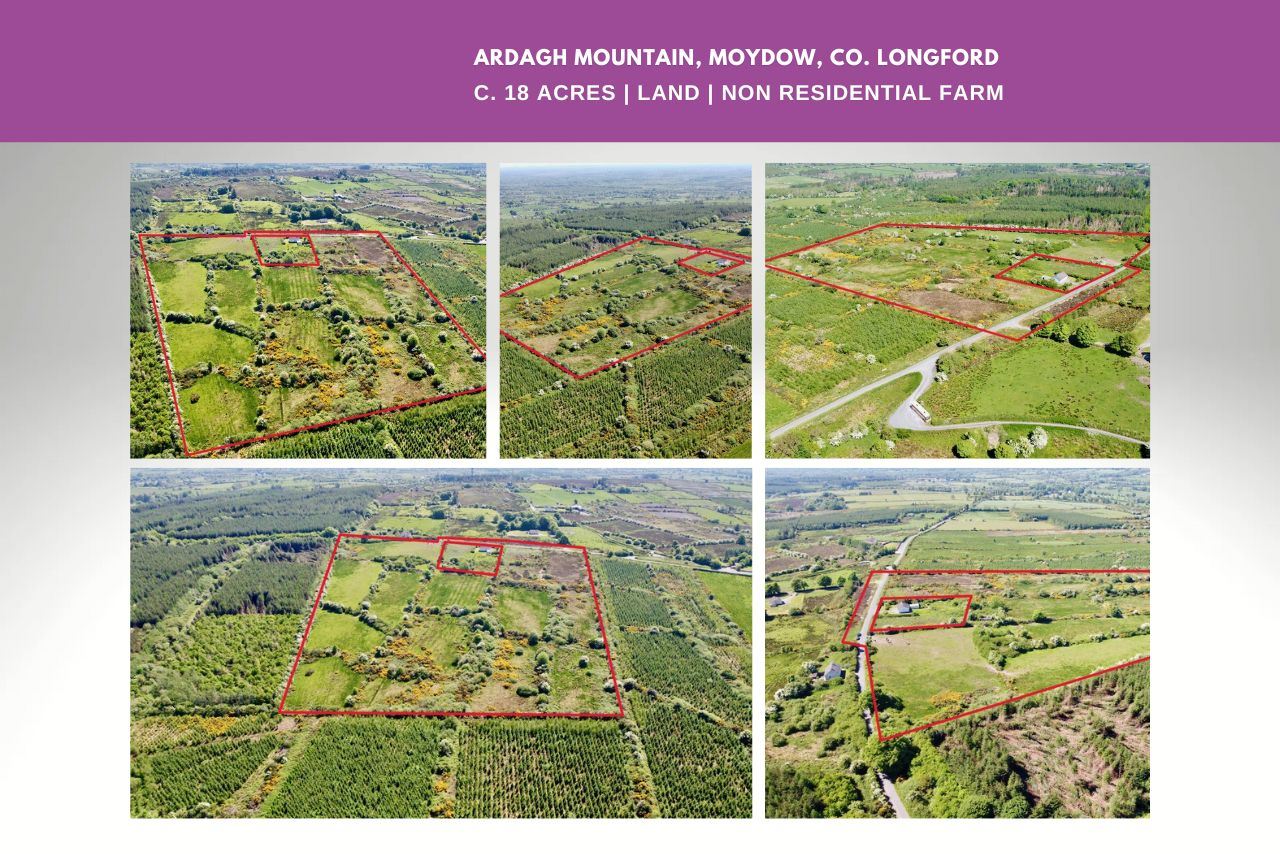 Ardagh Mountain, Ardagh, Longford