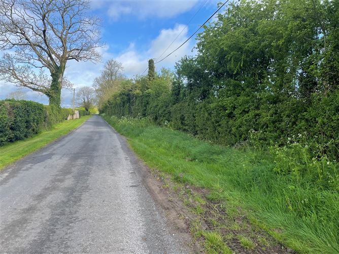 Land c. 38.2 Acres / 15.45 HA., Green Road, Kildare Town, Kildare