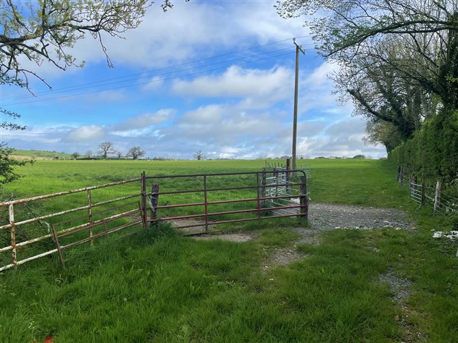 Land c. 38.2 Acres / 15.45 HA., Green Road, Kildare Town, Kildare