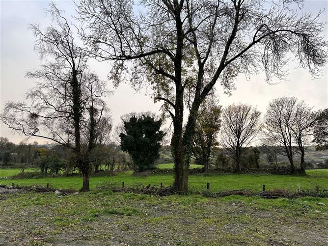 Feede Derelict Cottage On Half Acre, Feede, Ravensdale, County Louth