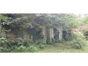 Main image of Derelict Farmhouse on 40acres of Forest, Ballyporeen, Tipperary