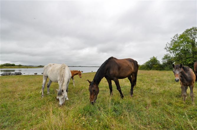 "Lake Boreen", Pairc, Moycullen, Galway