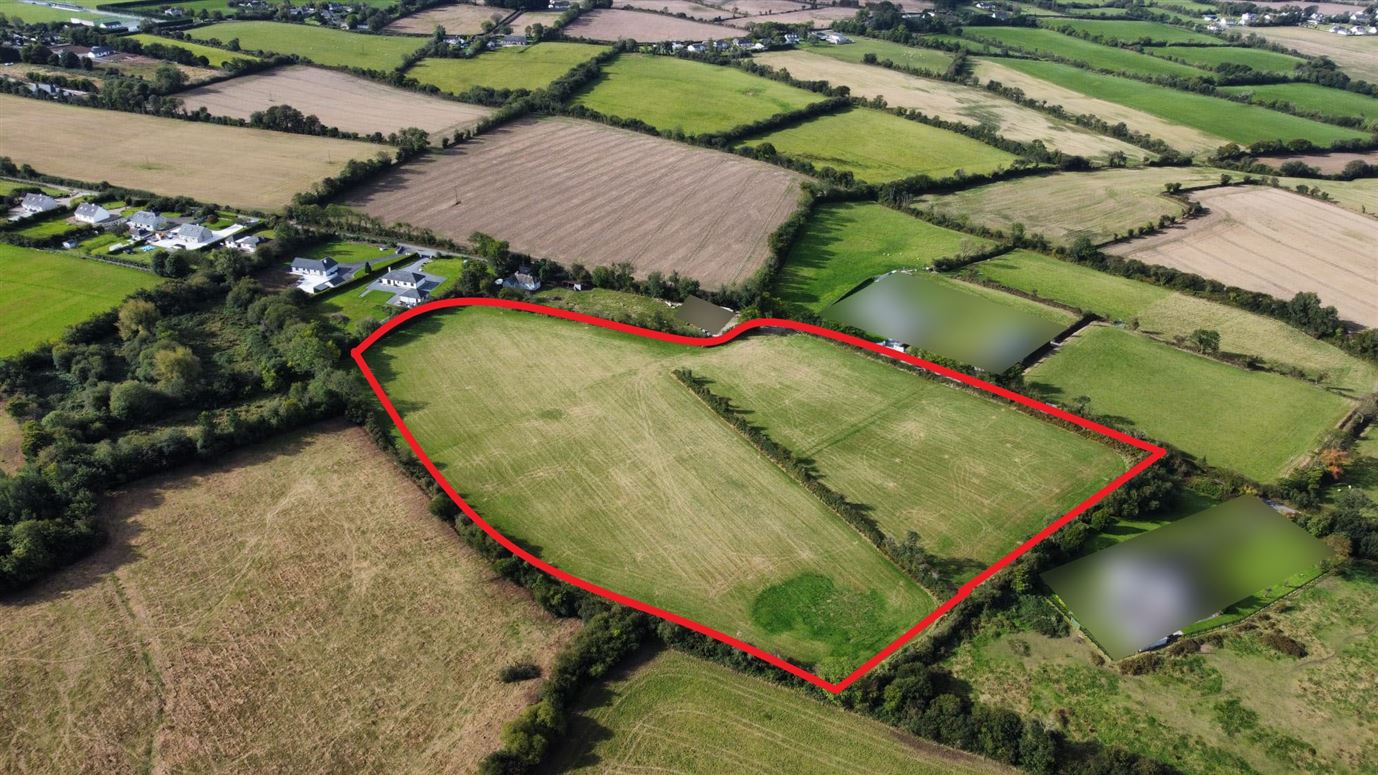 Compact c. 8.7 Acre Non Residential Holding at Coolamaine, Oilgate, Wexford