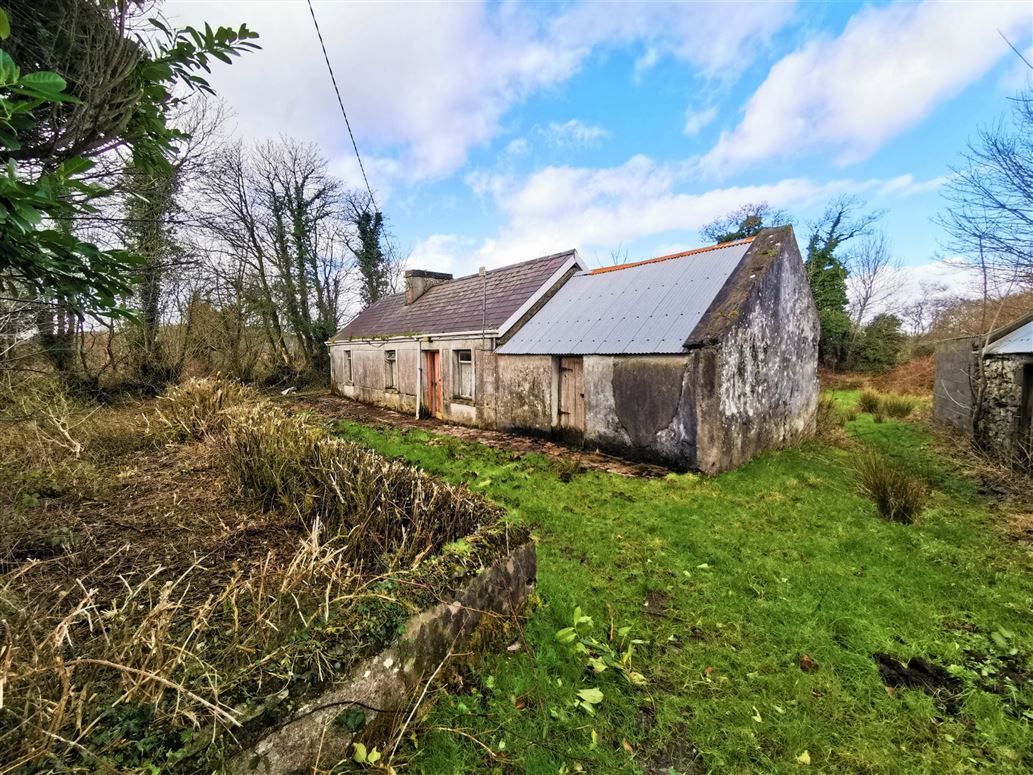 Dromadajoyce, Killasser, Swinford, Co. Mayo