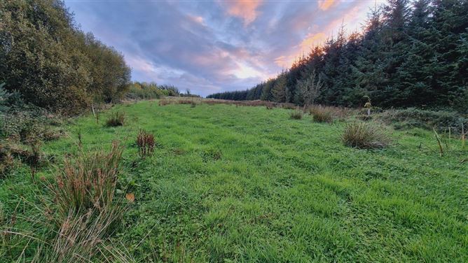 Curra More, Loughil, Co. Limerick