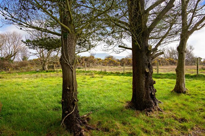 Breaghwy Hill Lodge, Ballinfull, Co. Sligo